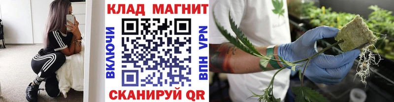 APVP Струнино
